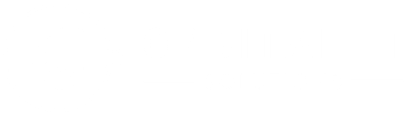 Orbital IT Solutions